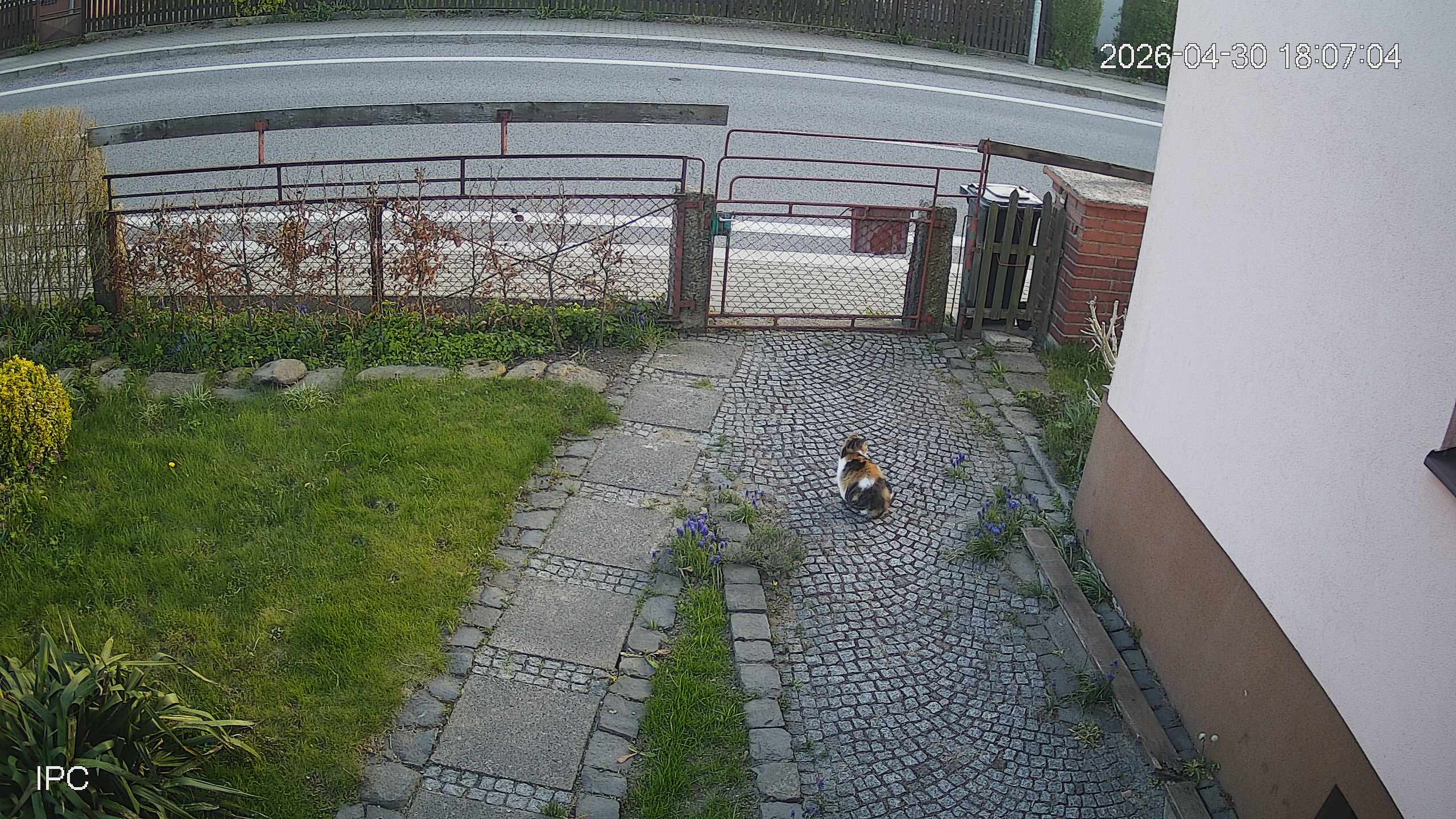 Capture